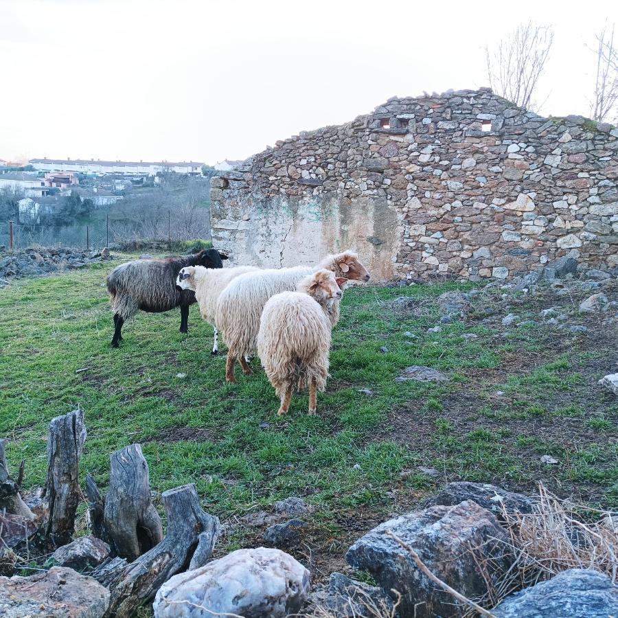La Casita De Cabanillas. Cabanillas De La Sierra. Dış mekan fotoğraf